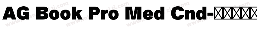 AG Book Pro Med Cnd字体转换
